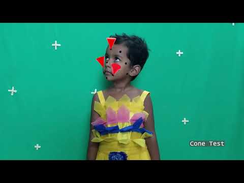 Diptesh Bhowmick