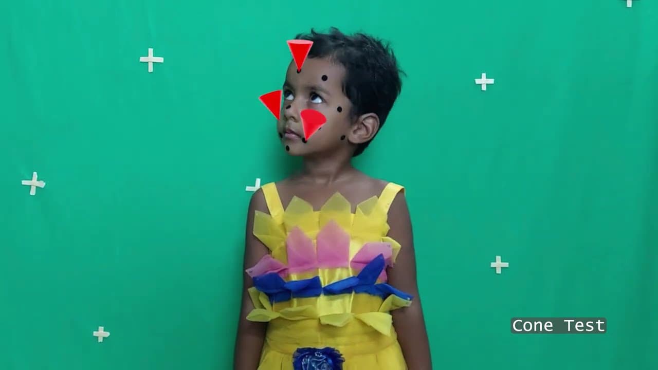 Diptesh Bhowmick