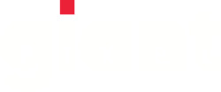 Giant Pixel