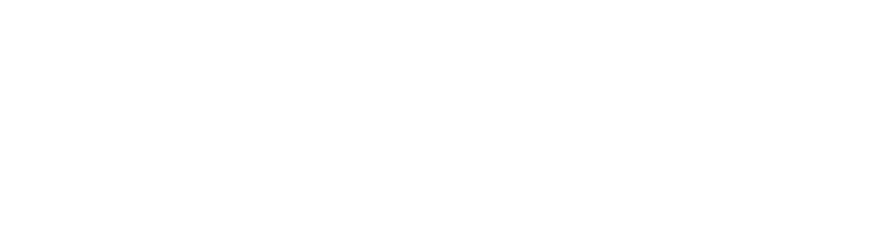 BlueBolt