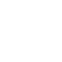 Important Looking Pirates