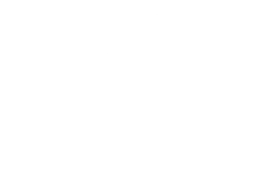 Ionart Studio