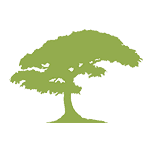 One Tree Forest
