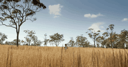 Australian Film Television and Radio School (AFTRS)